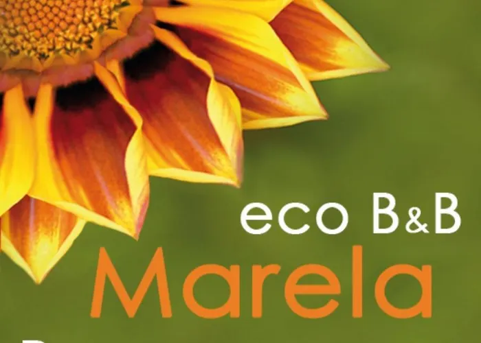 Eco Marela Rzym