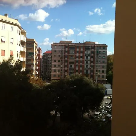 Eco Marela